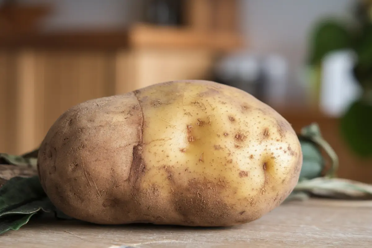 What potato is similar to a russet?