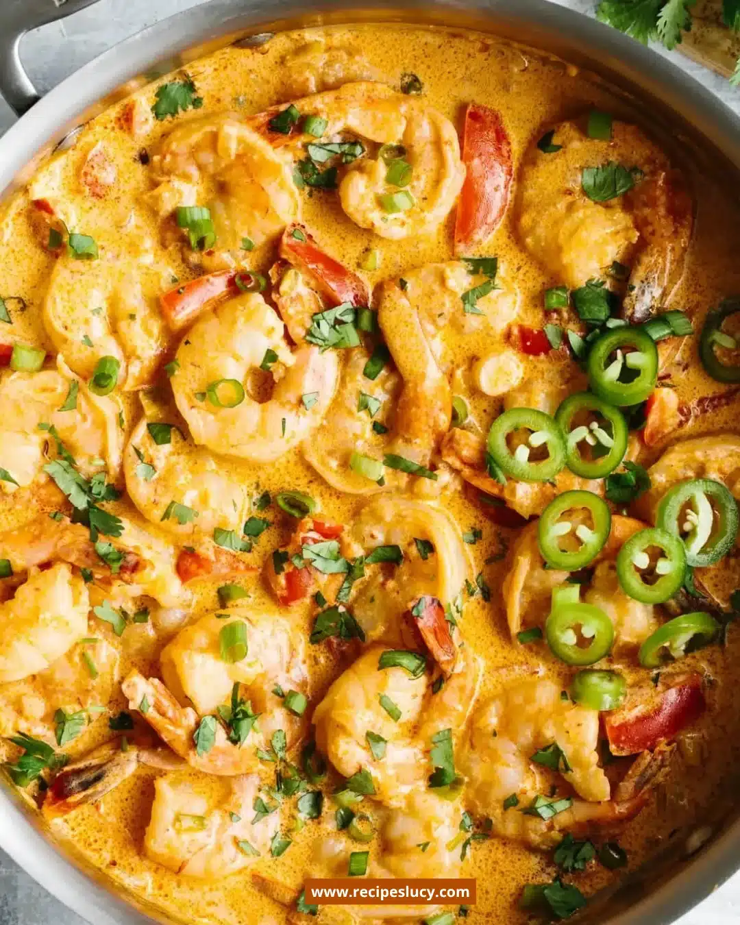 Best Shrimp Recipes