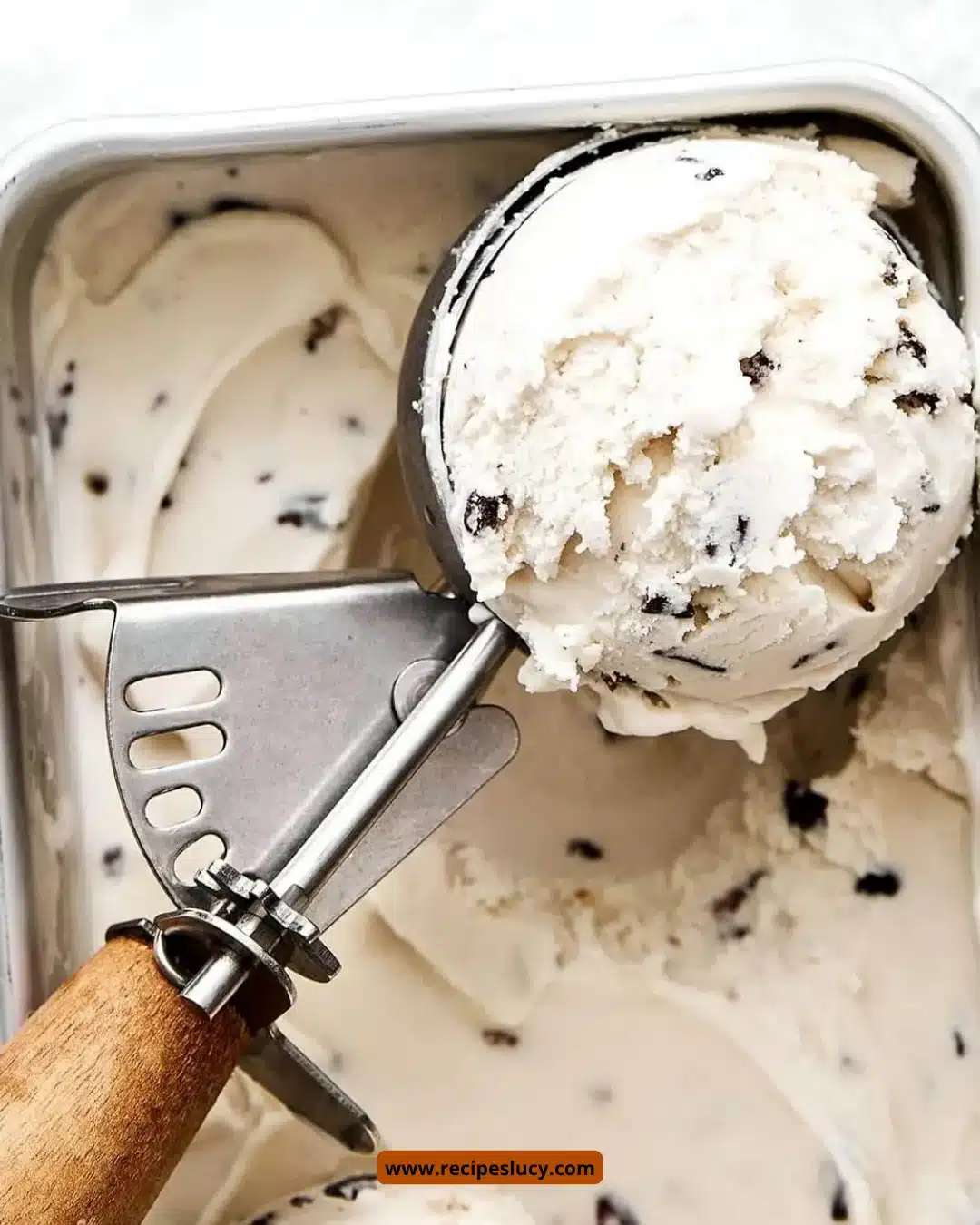 Vegan Cacao Nib Ice Cream