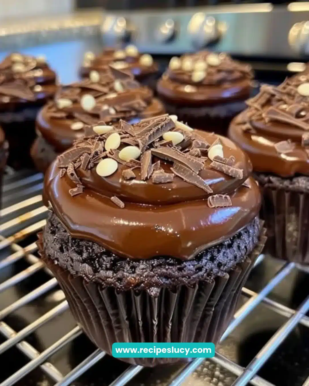 Delicious chocolate fudge cupcakes topped with rich chocolate frosting.