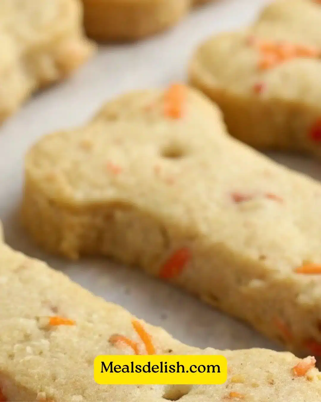 Healthy homemade carrot apple crunchies for dogs in a bowl