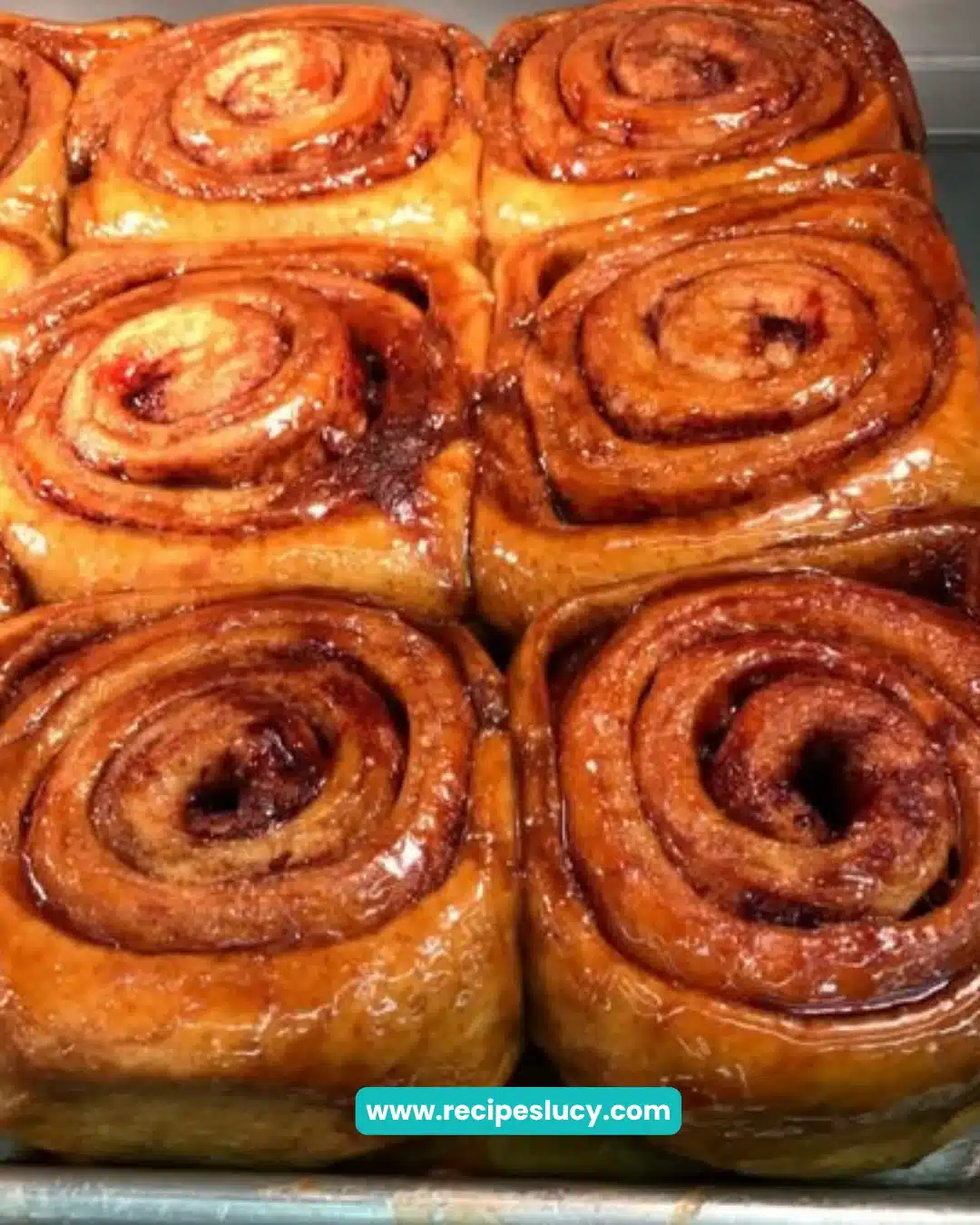 Fresh Cinnamon Rolls