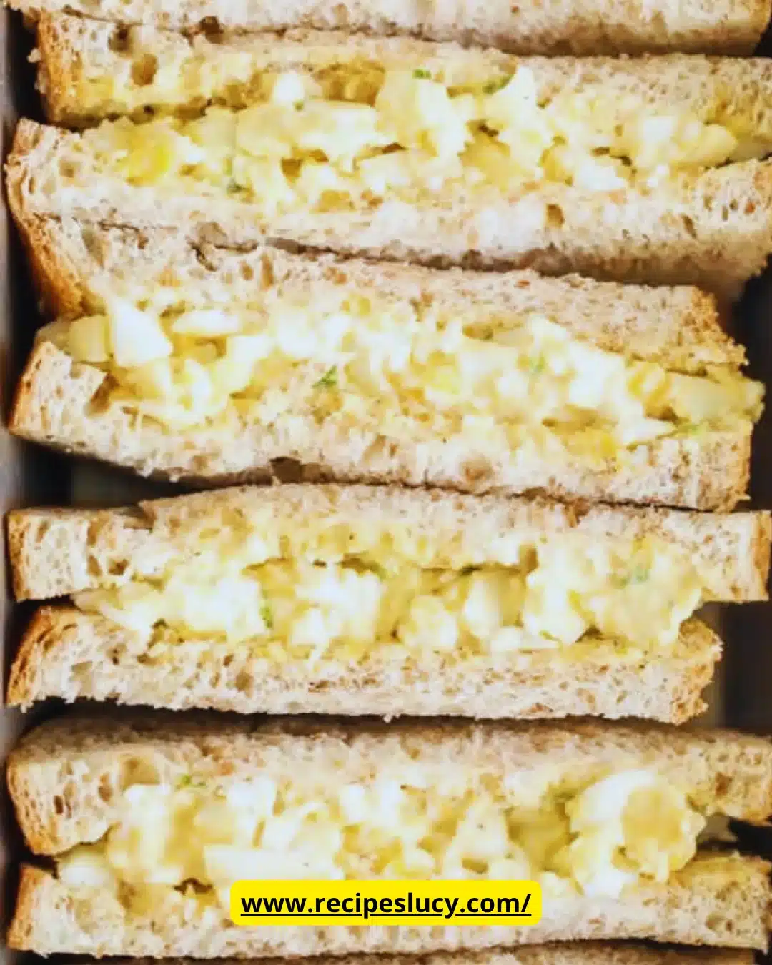 Variety of kid-friendly school lunch ideas with healthy options and colorful presentation