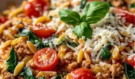 Bowl of delicious Ground Turkey Orzo with vegetables