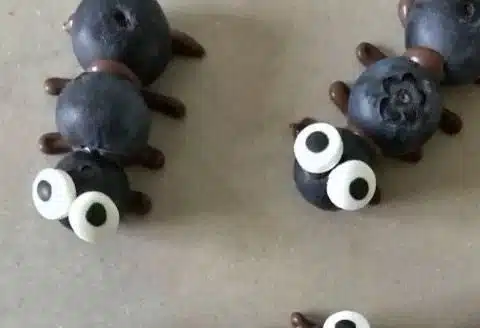 Sine Siemkowicz's Instagram post featuring Blueberry Creepy Crawlies