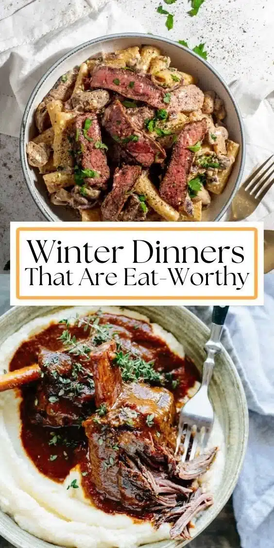 A variety of warm winter dinner recipes for cozy meals during the winter season