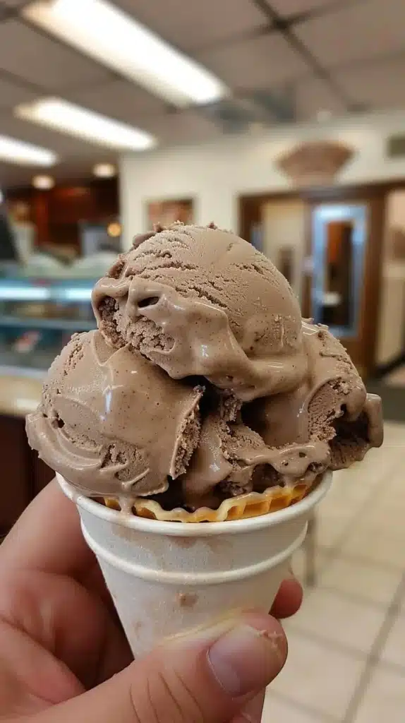 Delicious bowl of dark chocolate ice cream topped with chocolate shavings