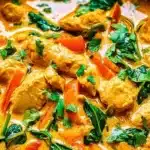 Delicious Thai Chicken Coconut Curry with vibrant flavors and creamy sauce