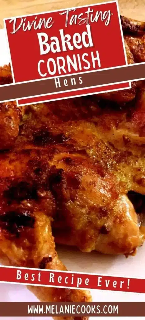 Deliciously baked Cornish hens served with herbs and spices.