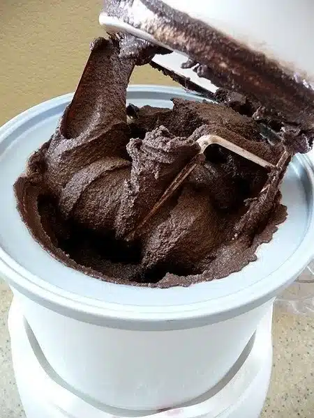 Delicious bowl of dark chocolate gelato topped with chocolate shavings