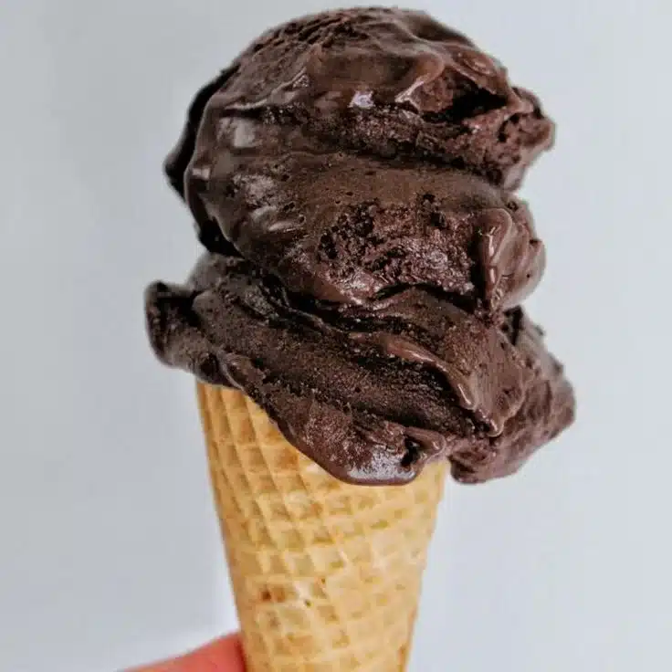 Delicious dark chocolate gelato served in a bowl with cocoa powder on top.