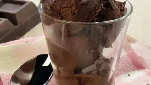 Delicious dark chocolate ice cream in a bowl topped with chocolate shavings