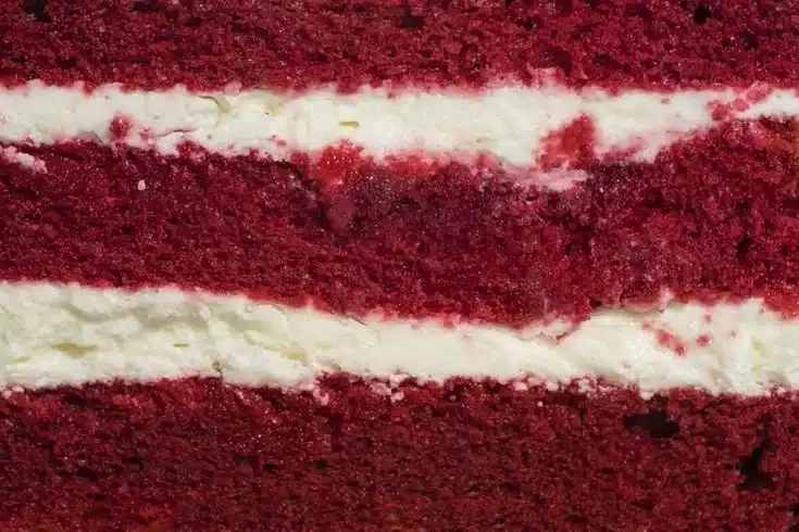 Delicious red velvet cake slice with cream cheese frosting on a plate