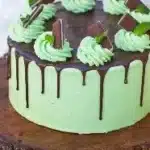 Delicious Chocolate Mint Layered Cake showcasing rich chocolate and mint layers.