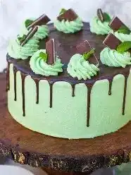 Delicious Chocolate Mint Layered Cake showcasing rich chocolate and mint layers.