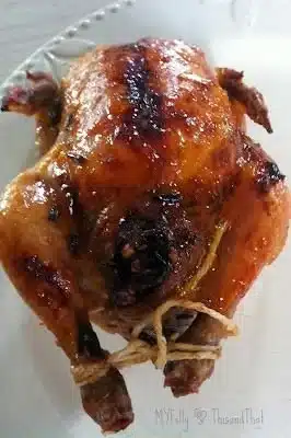 Cornish hen with apricot glaze and wild rice dressing served on a plate