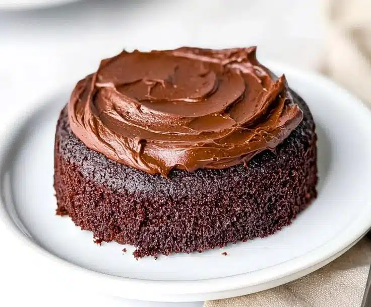 Delicious mini chocolate cake topped with chocolate frosting and sprinkles