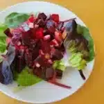 Ruby Red Beet Salad with fresh greens and vinaigrette dressing