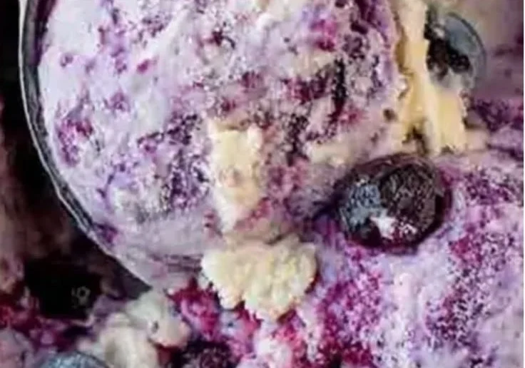 High-Protein Blueberry Cottage Cheese Ice Cream in a bowl