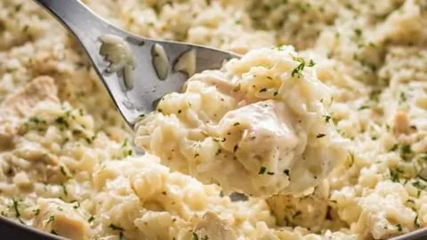 Creamy Parmesan chicken and rice dish served in a one-pot meal.